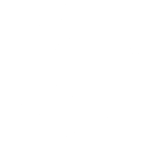 Savage Spartan logo